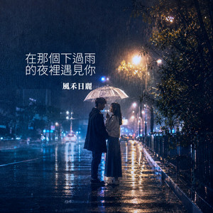 在那個下過雨的夜裡遇見你 by 風禾日麗