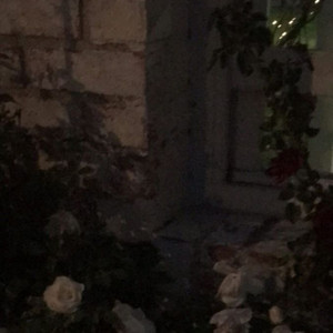 flowers in the middle of spring
