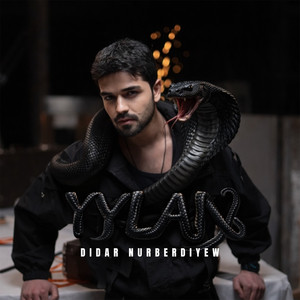 Didar Nurberdiyew - Yylan