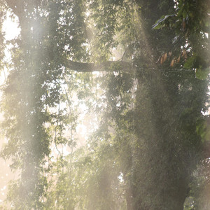 Sunbeam by Scott Rivers