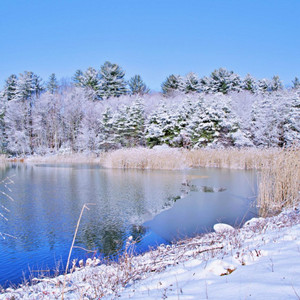 AMOR MIO by DJ ADAEL