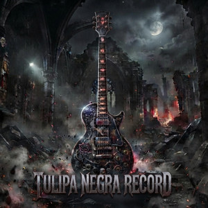 ESSA É A VERDADE by TULIPA NEGRA RECORD