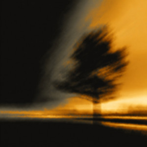 Slow Fade Ensemble by Golden Blur
