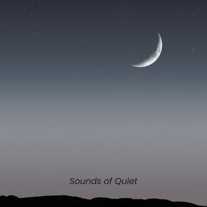 Sounds of Quiet by Hollowayzzz