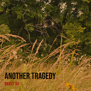 Another Tragedy