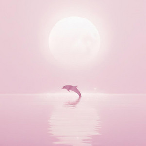 No Map, Just Instinct by Haze Muse