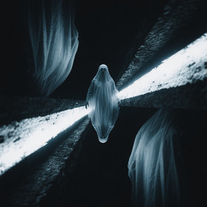 Entropic Symmetry by Necroform