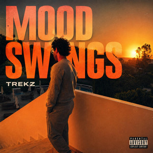 Mood Swings by Trekz