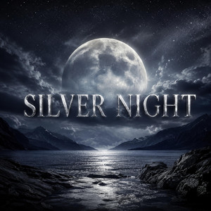 Silver Night by DJ FAGOR