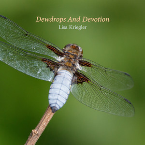 Dewdrops And Devotion by Lisa Kriegler