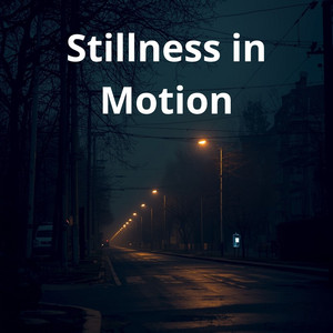 STILLNESS IN MOTION by AnggiJoo