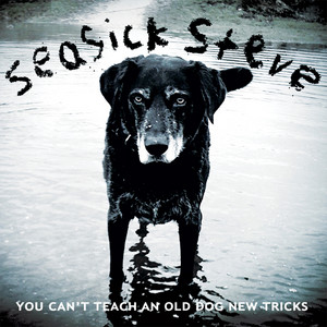 You Can't Teach an Old Dog New Tricks cover