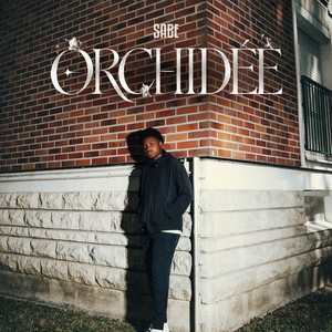 ORCHIDÉE by Sabe