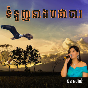 ជិន សេរិយ៉ា - ទំនួញនាងបដាចារ