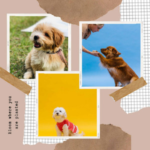 Groovy Ambiance for Energetic After Dinner album