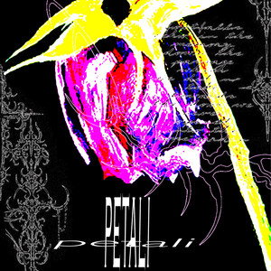 petali by besnap