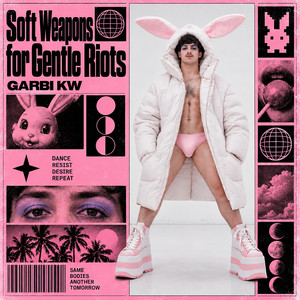 Portada de Soft Weapons for Gentle Riots