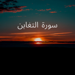 سورة التغابن by ابو طلحة السعيدي