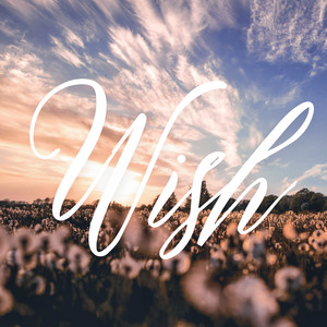 Wish