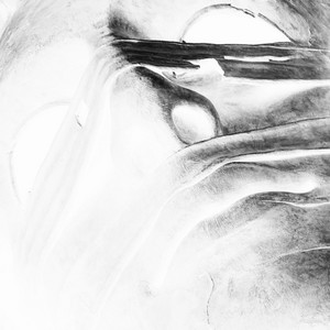 What Do You Die For? by Joan Darwin