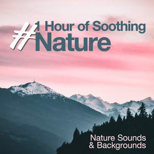 #1 Hour of Soothing Nature