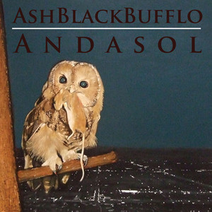 Black Ash Photo