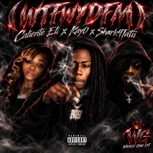 WTFWYDFM by Caliente Eli, Kay0, Shark4Tatii