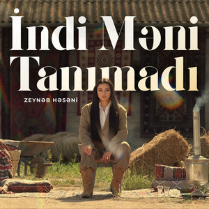 İndi Məni Tanımadı by Zeynəb Həsəni