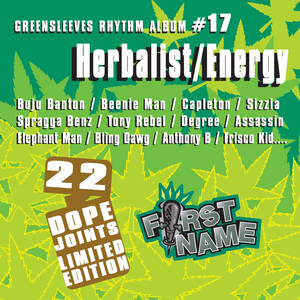 Rhythm Greensleeves Albumレコードセット個別売可