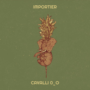 Importier by Cavalli 0_o