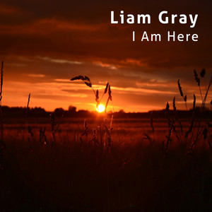 I Am Here by Liam Gray
