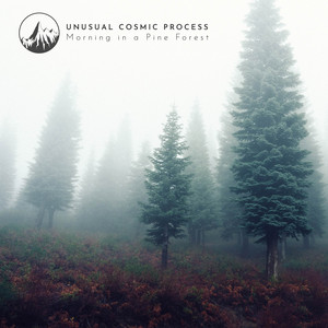 Morning in a Pine Forest