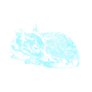 HIVER