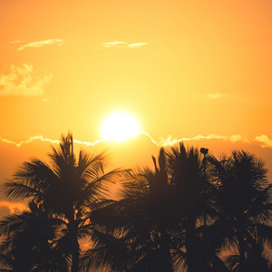 Tropical Heatwave - Dream Mix by Webbstur