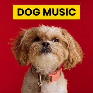 Pets Music Relaxation Piano album
