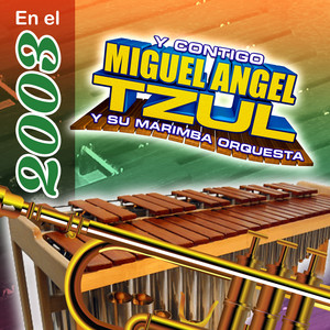 Miguel Angel Tzul y Su Marimba Orquesta - La Iguana (El Tacuazin)