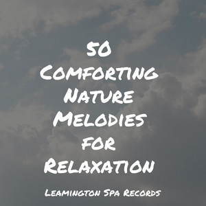 50 Comforting Nature Melodies for Relaxation album