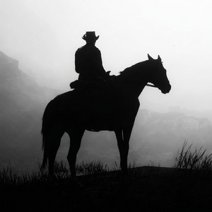 No Apologies Left In Me by Western Boy'