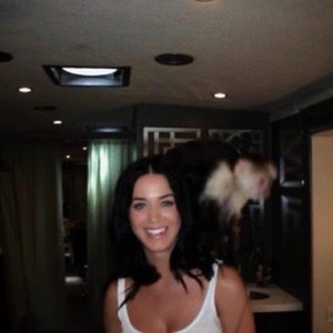 xhromekash - Katy Perry (feat. alosaken)