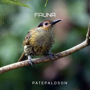 FAUNA by Patepaloson