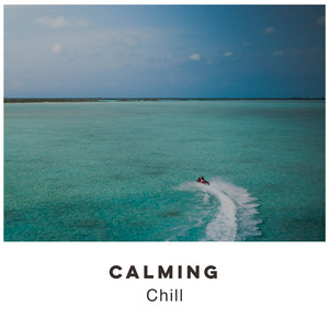 # 1 Album: Calming Chill album