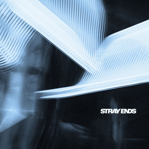 Weighty Wings by STRAY ENDS