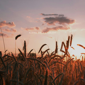 Harvest by Marino Calle