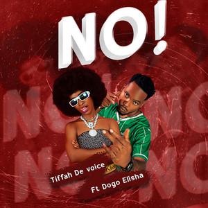 No! (feat. Dogo Elisha)