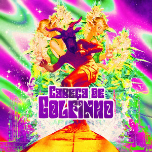 Cabeça de Golfinho - O Ponto
