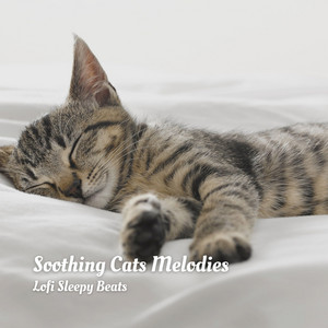 Soothing Cats Melodies: Lofi Sleepy Beats album