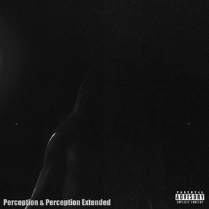 Perception - Extended Version by N0N UPL04D SONGS, Killstation