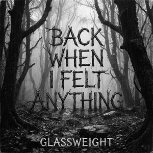 Back When I Felt Anything by Glassweight