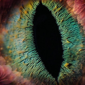 Ojos De Gato by Shaiden, PayCheck