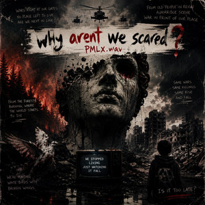 WHY ARENT WE SCARED by PMLX.wav
